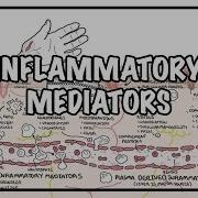 Inflammatory Mediators And The Inflammatory Response