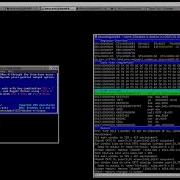 Dosbox X Debugger