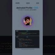 STUNNING Animated Profile Picture With CSS 2025 Tutorial Zero JavaScript Cssanimations Csstips