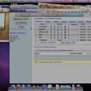 PRG 140 Run A SQL Command In PHPMyAdmin
