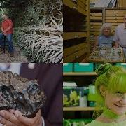 Внутри 5 крупнейших коллекций на Земле