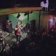 Authority Zero Libereducation The Back Nine Revolution Live At Terra Fermata