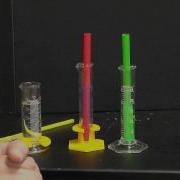 Canu Equilibrium Model Lab