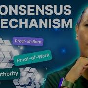 7 типов механизмов консенсуса которые вам НУЖНО знать