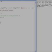 How To Send Packets With Python Socket Module
