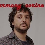 WTF With Marc Maron Harmony Korine Interview