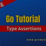 Unlocking The Magic Of Type Assertions In Go Golang Tutorial Grow Your Skill