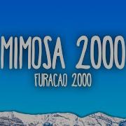 Furacão 2000 Mimosa 2000