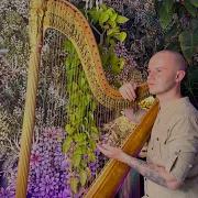 Sweet Dreams Harp Meditation Sleep Peacefully Release All Stress Healing Relaxation Harp Music