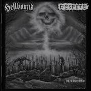 Hellbound Despite Bloodshed Split 2002 Full