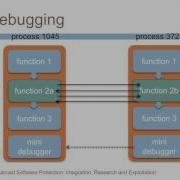 15 Demonstration Of Anti Debugging By Means Of Self Debugging