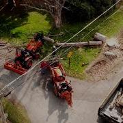 Partnering With A Tree Service For Free Wood