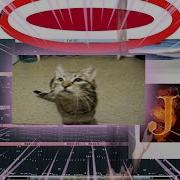 Meowsynth Jpop Was A Mistake