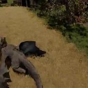 Irval The Wyvern In Wheat Field With VS Pro Touch React For Wheat Bending