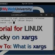 Tutorial For LINUX Rocky On Xargs How To What Is Xargs