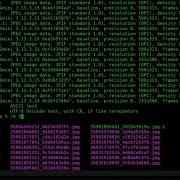 17 Running Multiple Commands In Parallel On A GNU Linux