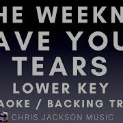 The Weeknd Save Your Tears Lower Key Karaoke Version With Lyrics