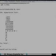 ED 203 Linux Buffer Overflow With Listening Shell