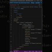 Custom Dropdown HTML CSS