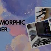 Automorphic Number Checker In Java Designer Code By Ritik Khandelwal