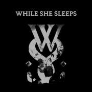 While She Sleeps Crows 8 Bit