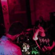 Netra Vort N Vis 23 03 15 IEPER