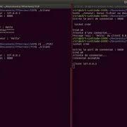Server Client Echo In Mode UDP And TCP