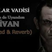 Kurtlar Vadisi Pusu Öldüm De Uyandım Divan Special Slowed Reverb