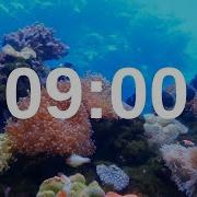 9 Minute Timer Relaxing Music Lofi Fish Background