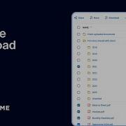 Bulk File Download