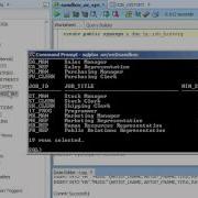 Oracle SYNONYMS Beginner