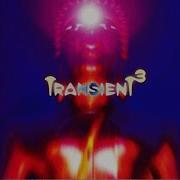 VA Transient 3 Transient Records 1996