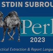 Perl Programming STDIN Subroutine 2023