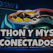 Éxito Garantizado Al Conectar Python Y MySQL Guía Paso A Paso