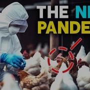 Everything You Need To Know About BIRD FLU