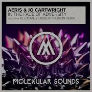 In The Face Of Adversity Re Locate Vs Robert Nickson Remix