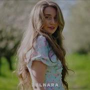Zelnara Come Back Original Mix