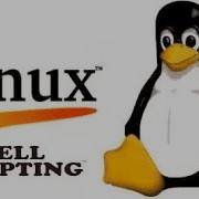 Wildcards In Linux With Examples Wildcards In Shell Scripting Shell Scripting Bash Scripting