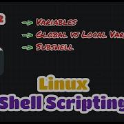 Variables In Bash Scripting Global VS Local Variable Linux Bash Scripting Part 2