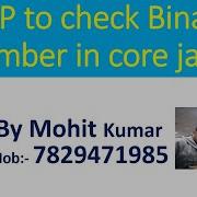 WAP To Check Binary Number In Core Java