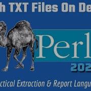 Perl Programming Tutorial Files Search 2024
