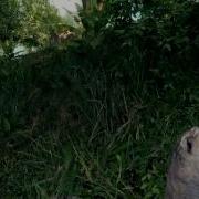 Crysis WARHEAD Killer Turtle