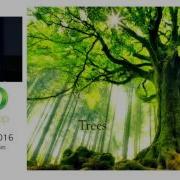 Exotic Functional Data Structures Hitchhiker Trees By David Greenberg