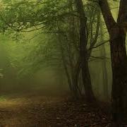Deep Forest Sweet Lullaby Martin Mittone Remix