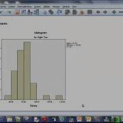 SPSS Explore Procedure