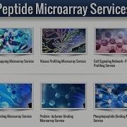 Peptide Microarray Service