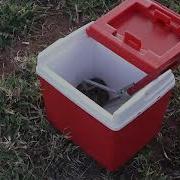 Baby African Rock Python Release Private Virtual Safari Highlight