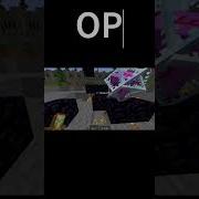 Turtle Master Is OP Crystal PvP