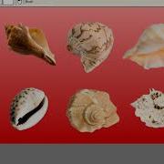 TwistedBrush Tutorials Background Removal Solutions