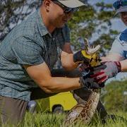 2023 Florida Python Challenge